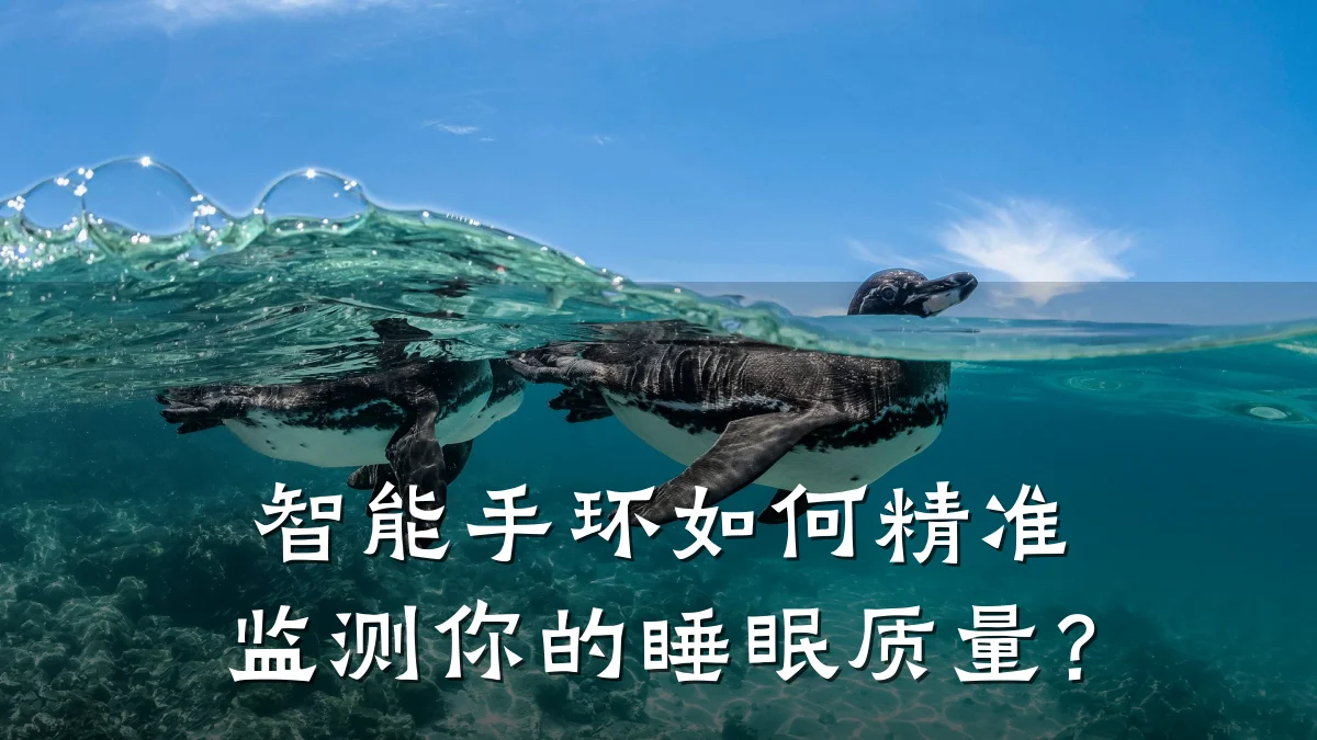 智能手环如何精准监测你的睡眠质量?