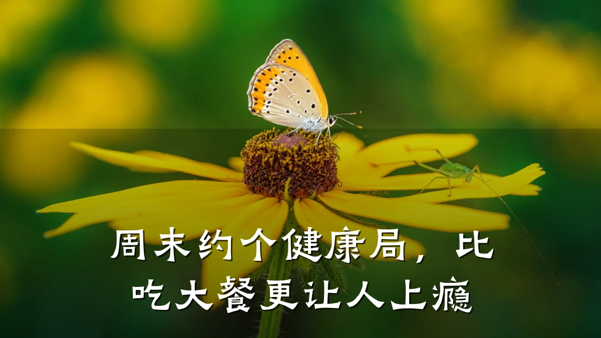 周末约个健康局,比吃大餐更让人上瘾