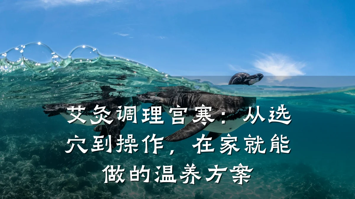 艾灸调理宫寒:从选穴到操作,在家就能做的温养方案