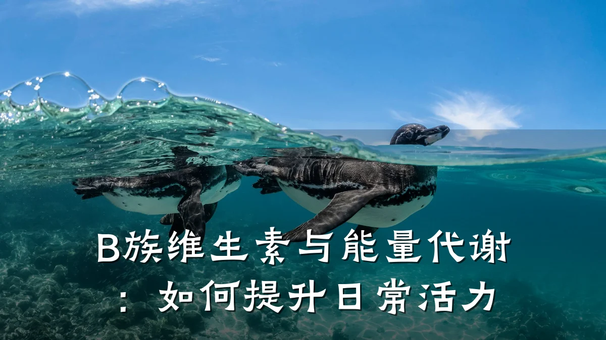 B族维生素与能量代谢:如何提升日常活力
