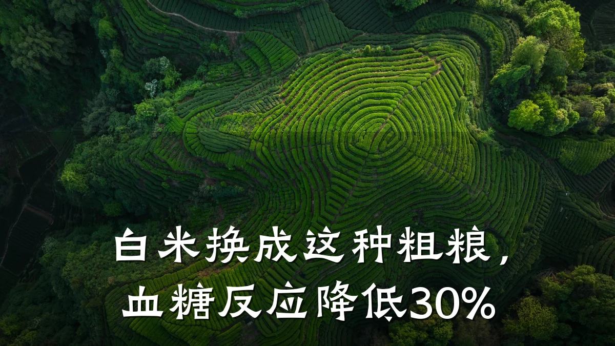 白米换成这种粗粮,血糖反应降低30%