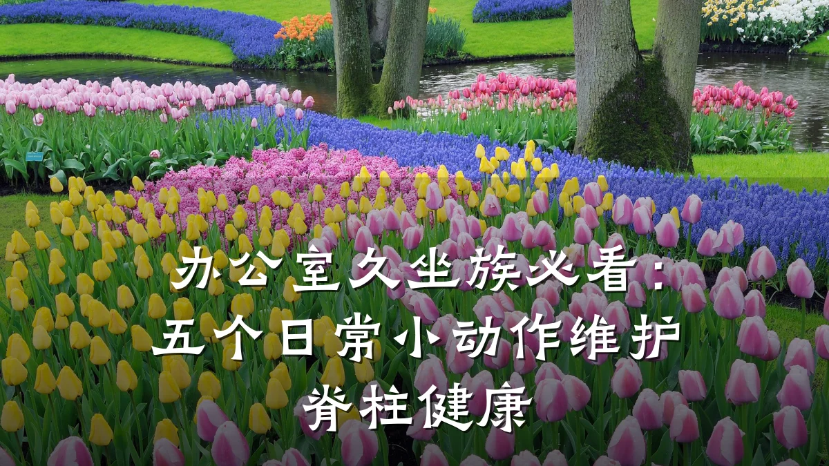 办公室久坐族必看:五个日常小动作维护脊柱健康