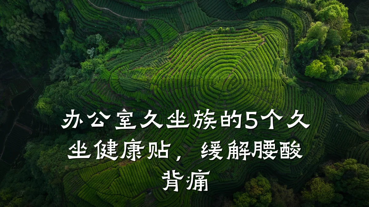 办公室久坐族的5个久坐健康贴,缓解腰酸背痛