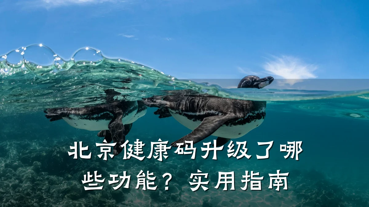 北京健康码升级了哪些功能?实用指南