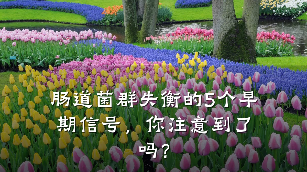 肠道菌群失衡的5个早期信号,你注意到了吗?
