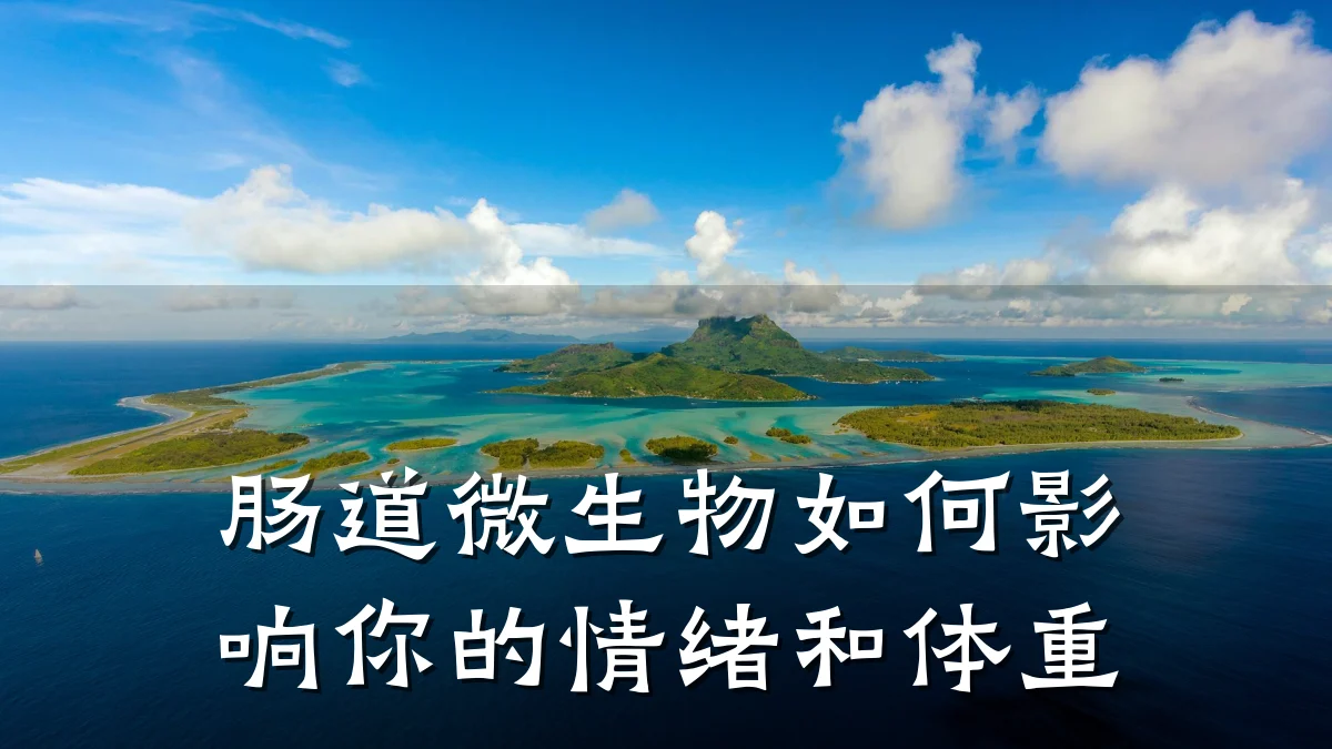 肠道微生物如何影响你的情绪和体重