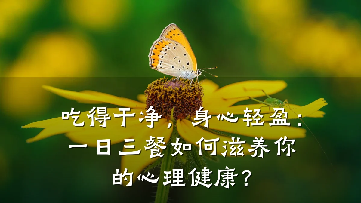 吃得干净,身心轻盈:一日三餐如何滋养你的心理健康?