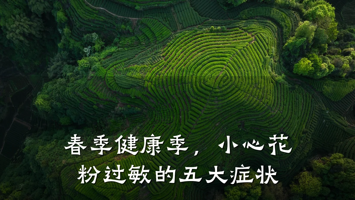 春季健康季,小心花粉过敏的五大症状