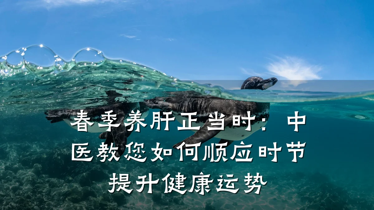 春季养肝正当时:中医教您如何顺应时节提升健康运势