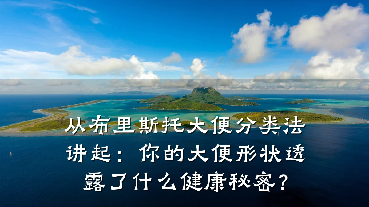 从布里斯托大便分类法讲起：你的大便形状透露了什么健康秘密？