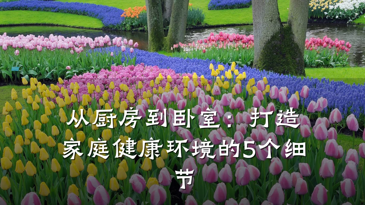 从厨房到卧室:打造家庭健康环境的5个细节