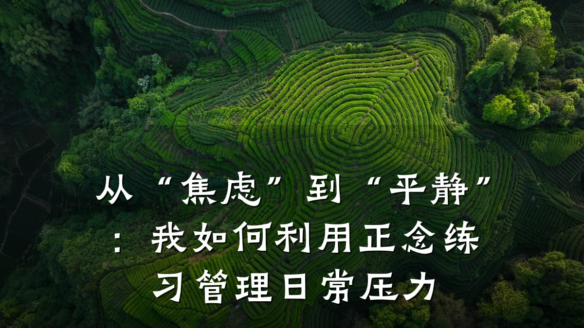 从“焦虑”到“平静”:我如何利用正念练习管理日常压力