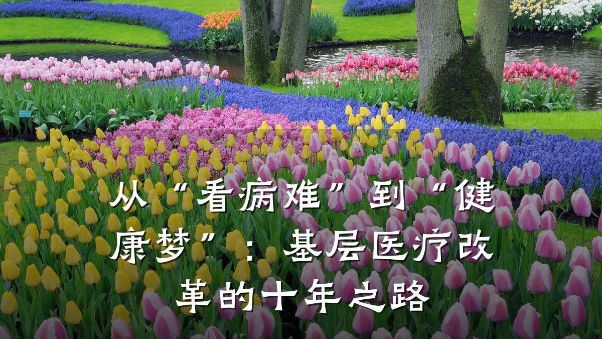 从“看病难”到“健康梦”:基层医疗改革的十年之路