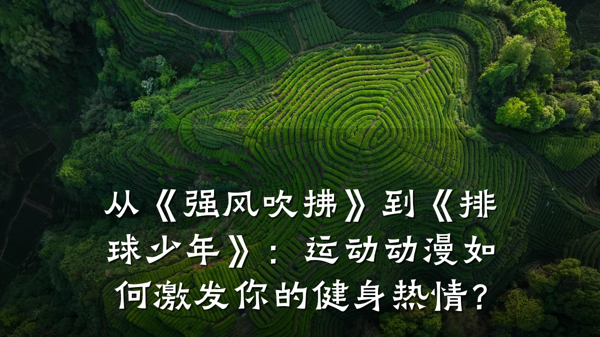 从《强风吹拂》到《排球少年》:运动动漫如何激发你的健身热情?