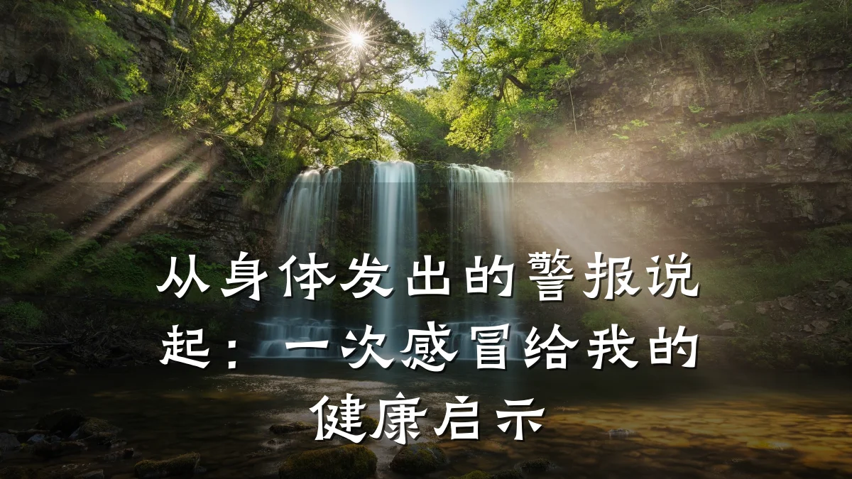 从身体发出的警报说起:一次感冒给我的健康启示