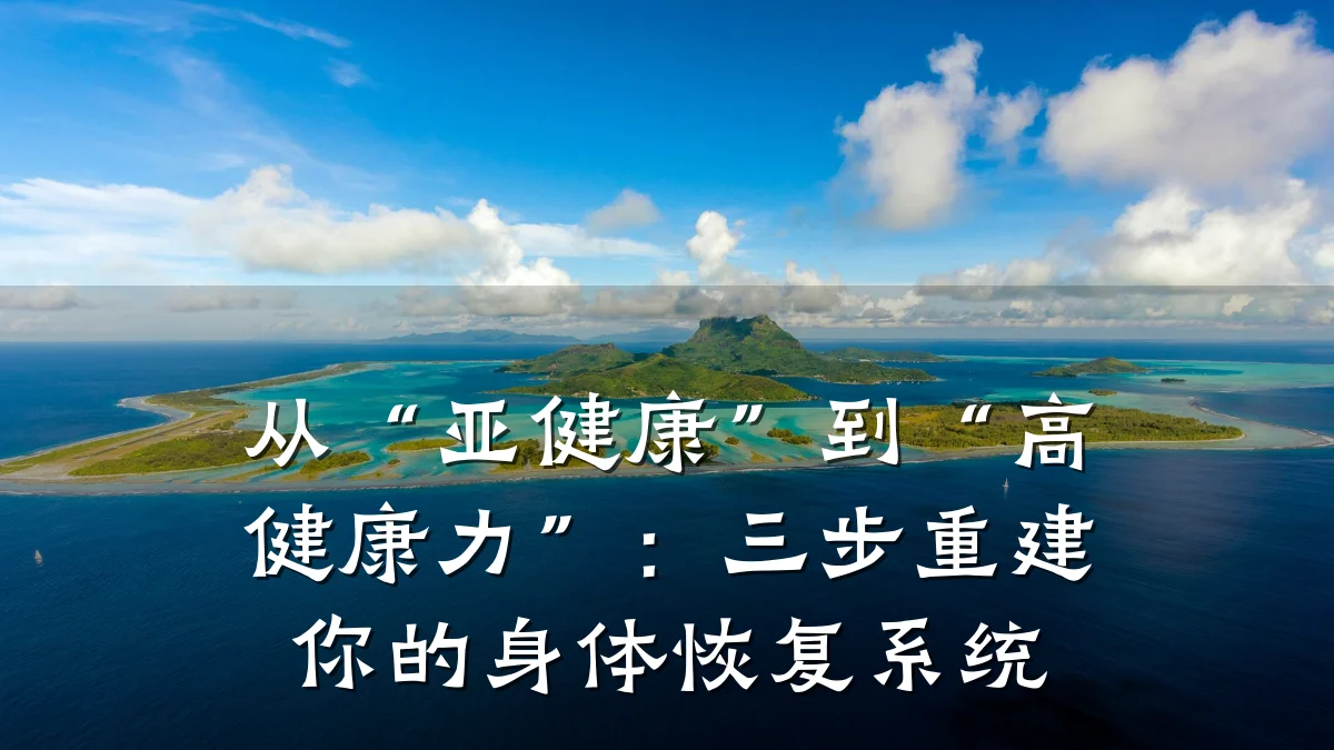 从“亚健康”到“高健康力”:三步重建你的身体恢复系统