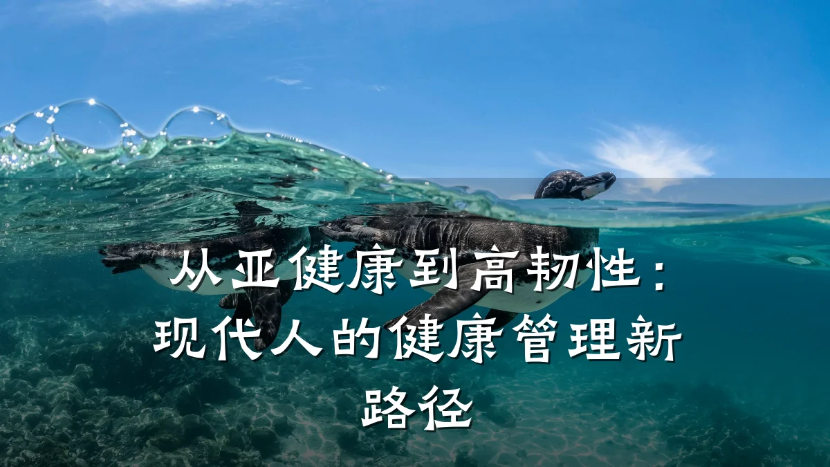 从亚健康到高韧性:现代人的健康管理新路径