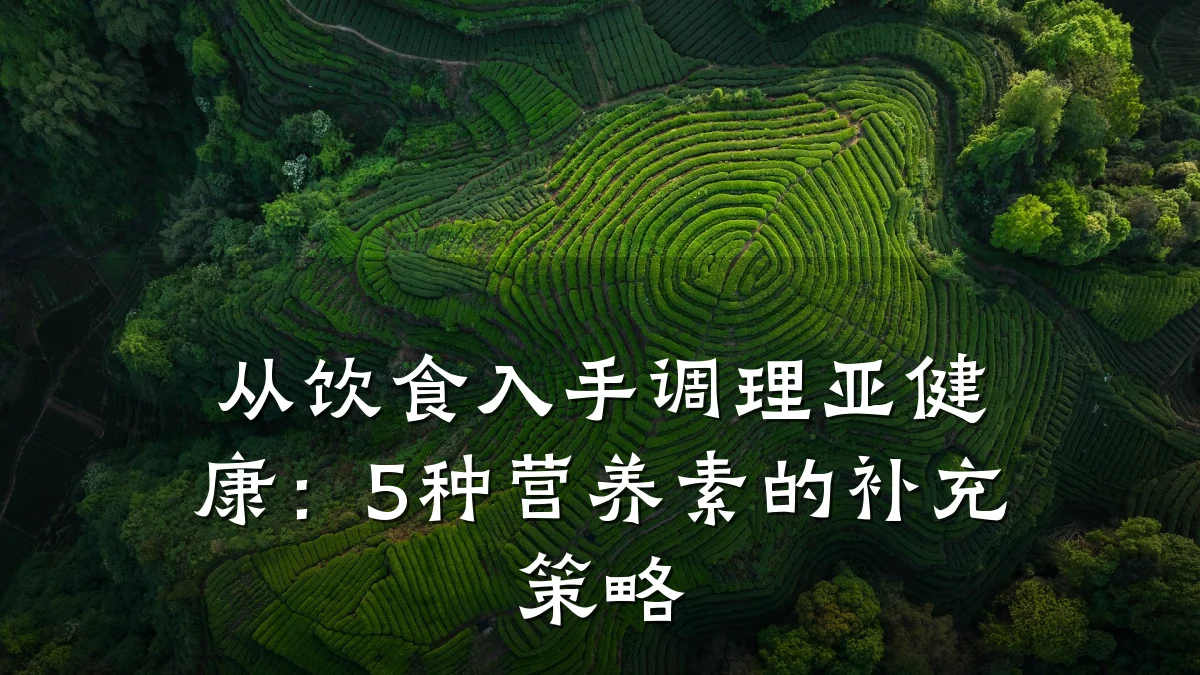 从饮食入手调理亚健康:5种营养素的补充策略