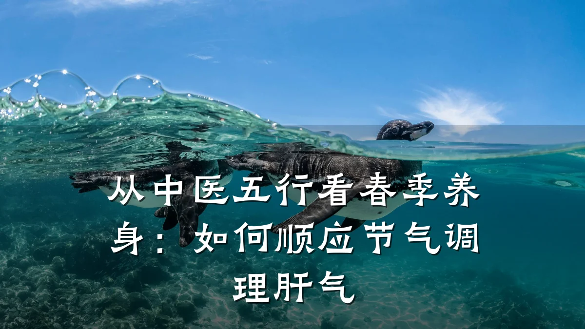 从中医五行看春季养身:如何顺应节气调理肝气