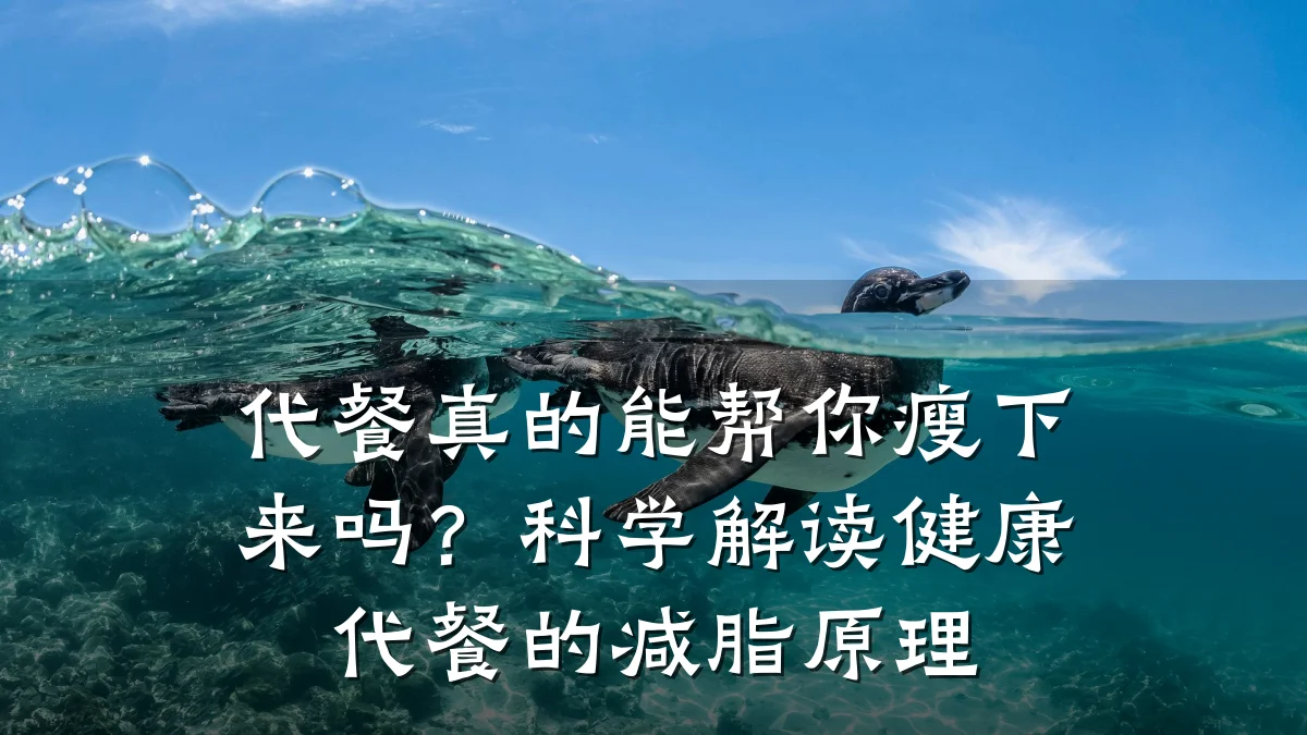 代餐真的能帮你瘦下来吗?科学解读健康代餐的减脂原理
