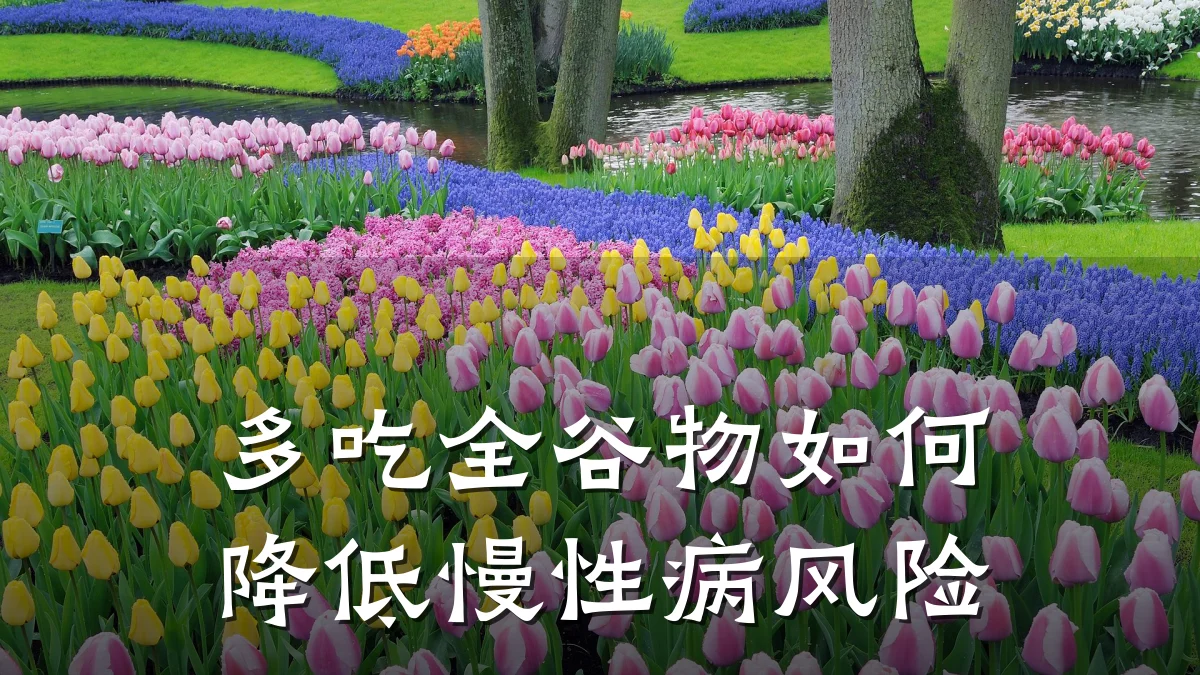 多吃全谷物如何降低慢性病风险