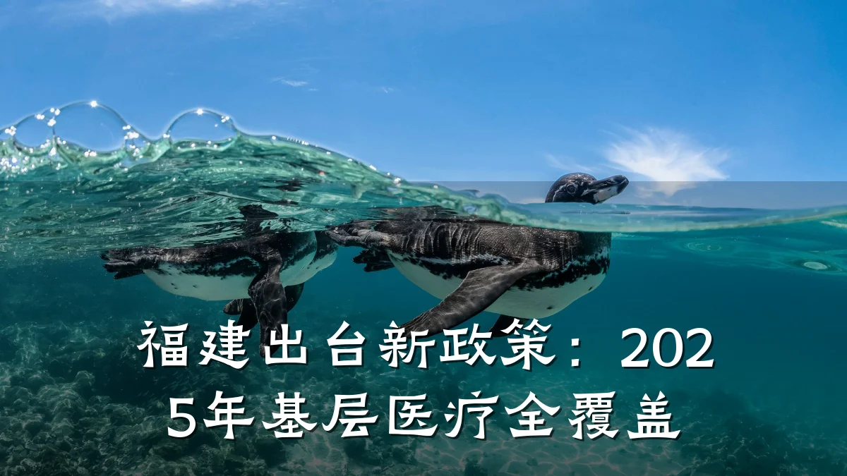 福建出台新政策:2025年基层医疗全覆盖