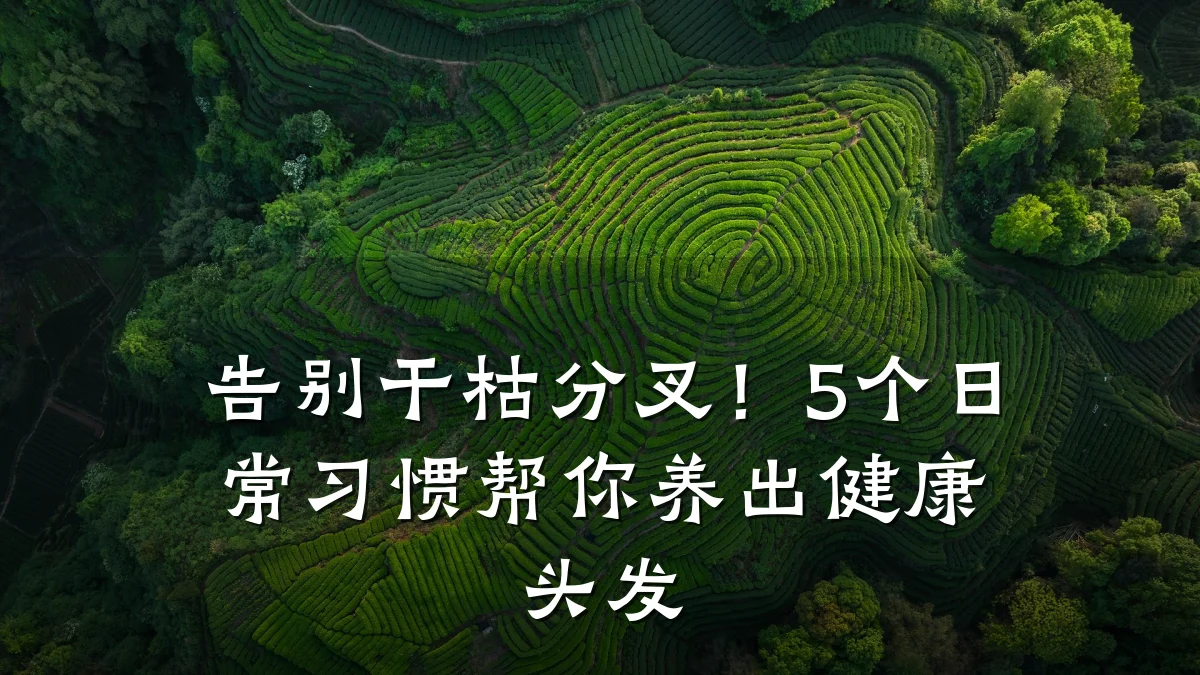 告别干枯分叉!5个日常习惯帮你养出健康头发