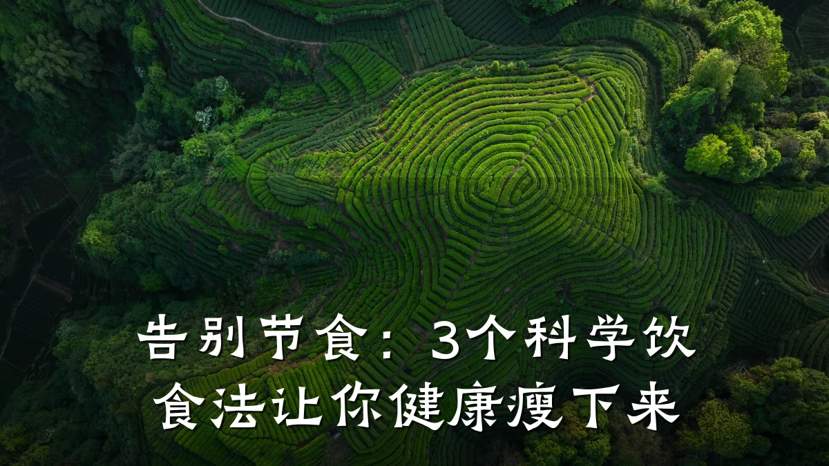 告别节食:3个科学饮食法让你健康瘦下来