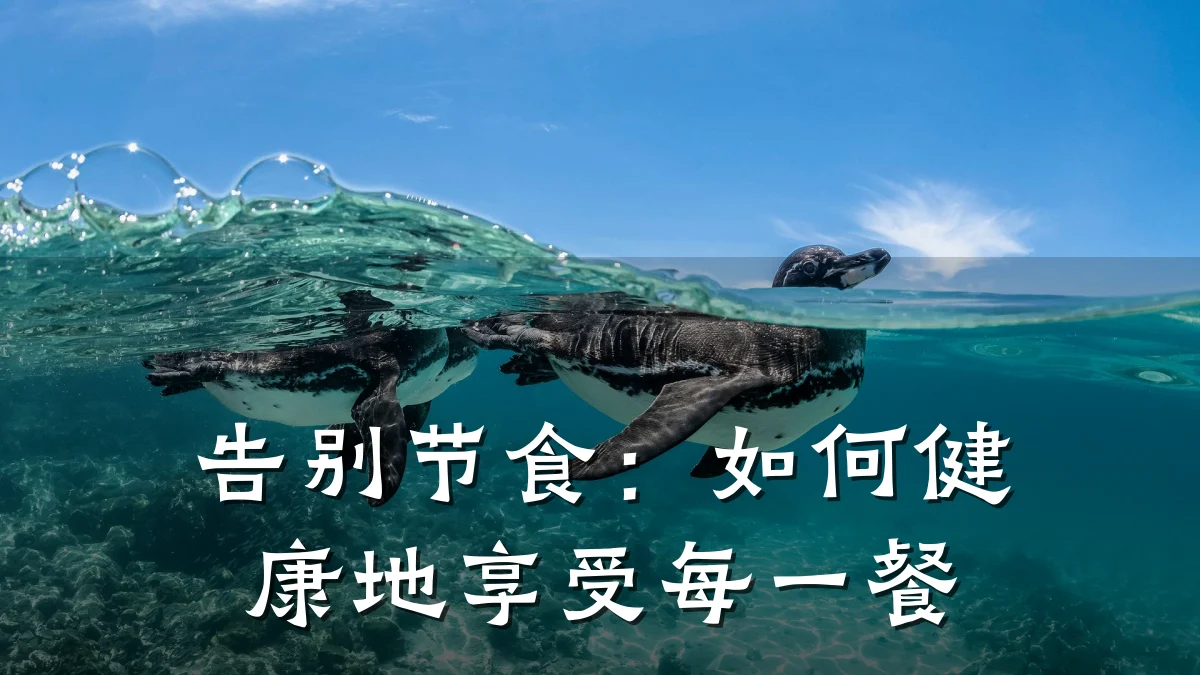 告别节食:如何健康地享受每一餐