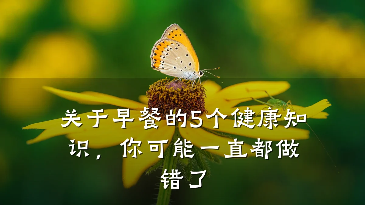 关于早餐的5个健康知识,你可能一直都做错了