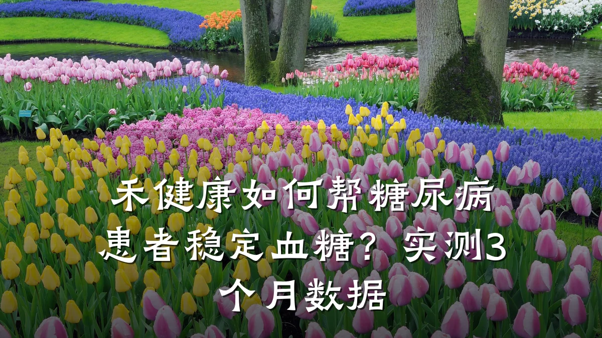 禾健康如何帮糖尿病患者稳定血糖?实测3个月数据