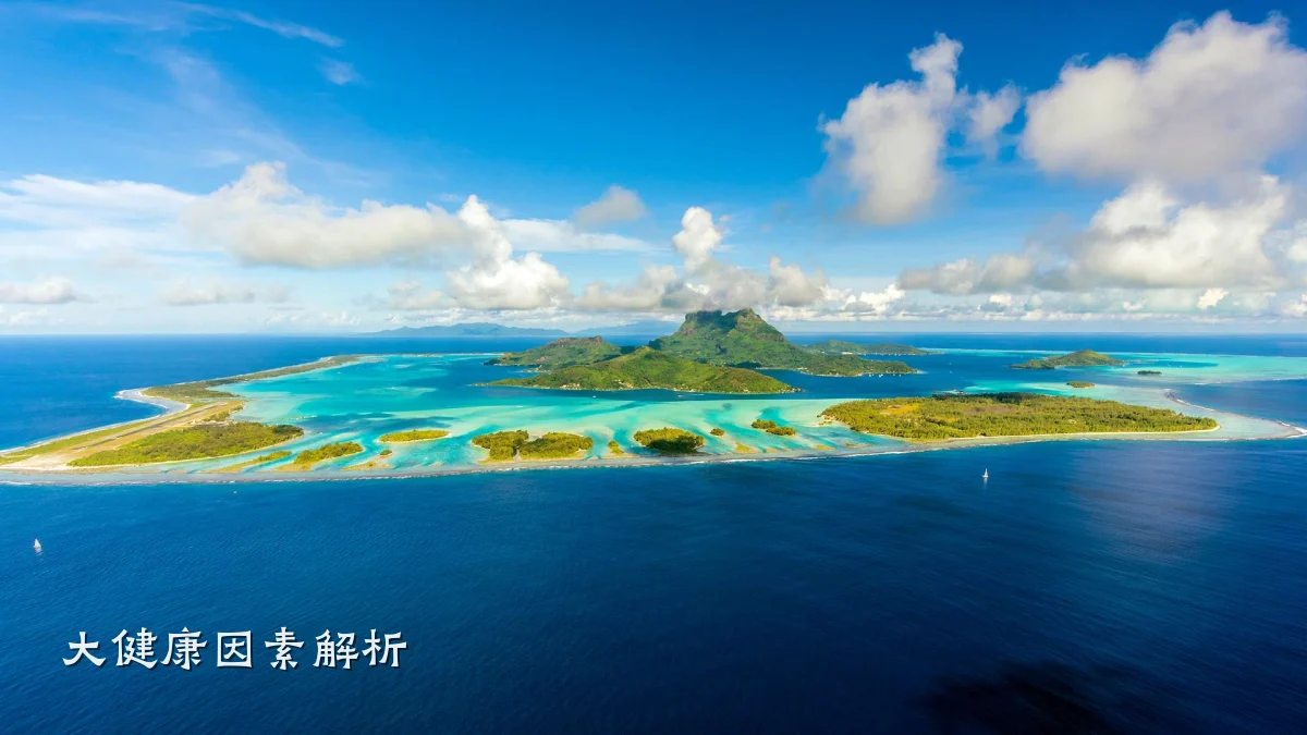 大健康因素解析