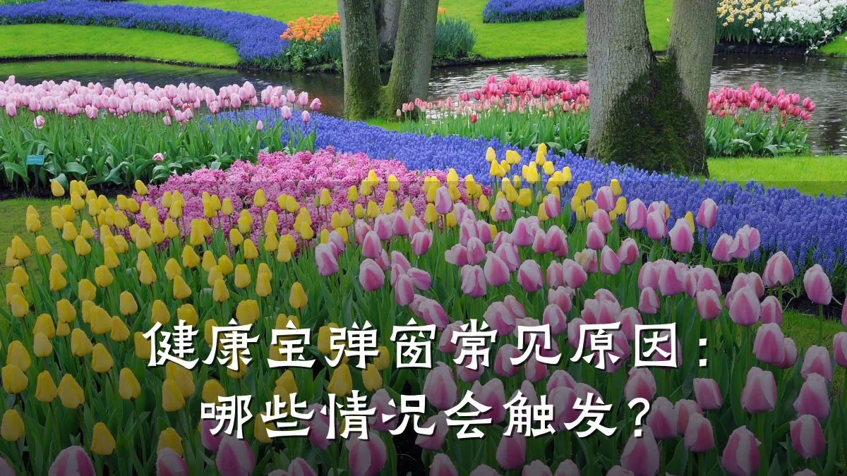 健康宝弹窗常见原因:哪些情况会触发?