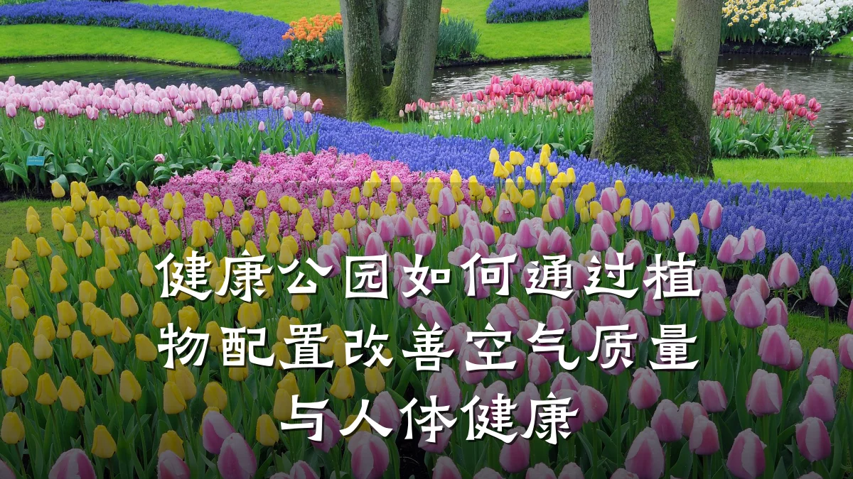 健康公园如何通过植物配置改善空气质量与人体健康