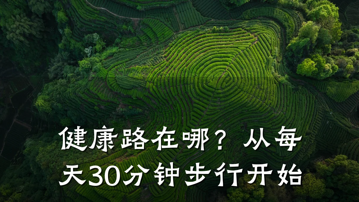 健康路在哪?从每天30分钟步行开始