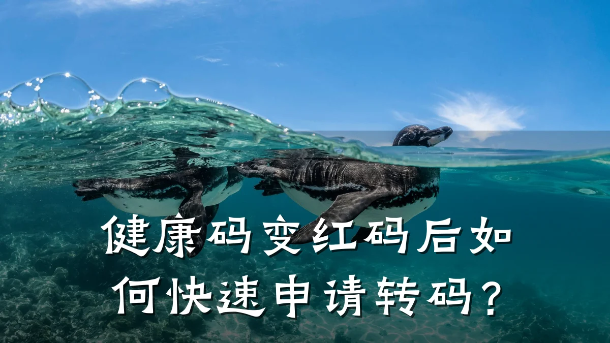 健康码变红码后如何快速申请转码?