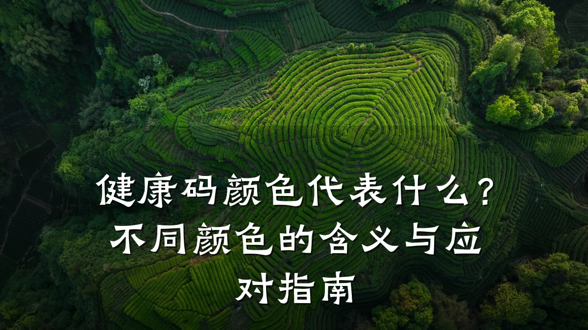 健康码颜色代表什么?不同颜色的含义与应对指南