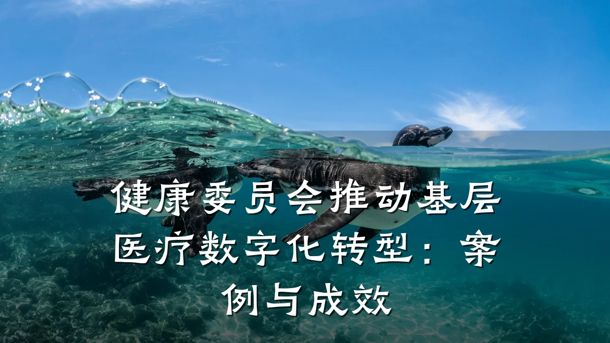 健康委员会推动基层医疗数字化转型:案例与成效