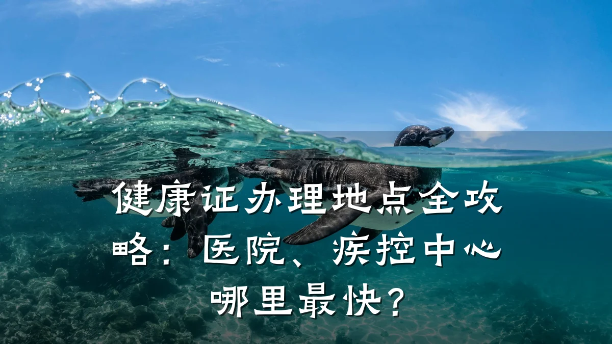 健康证办理地点全攻略:医院、疾控中心哪里最快?