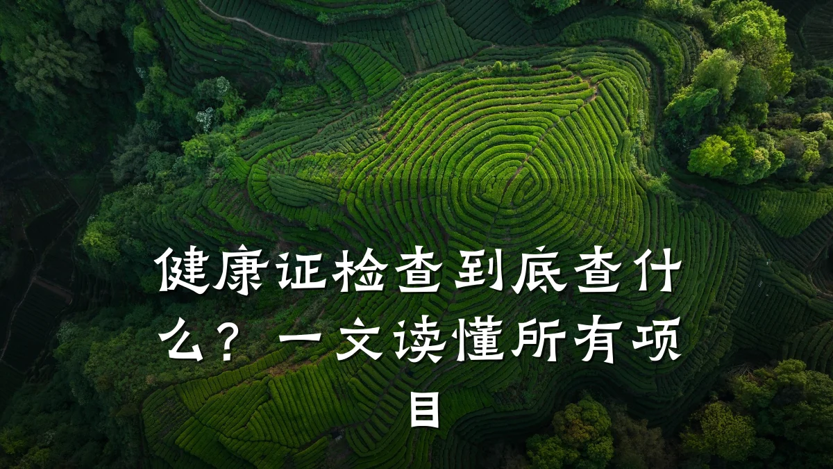 健康证检查到底查什么?一文读懂所有项目