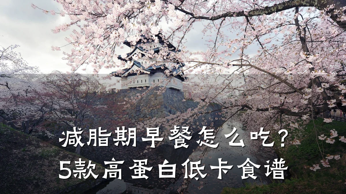 减脂期早餐怎么吃?5款高蛋白低卡食谱