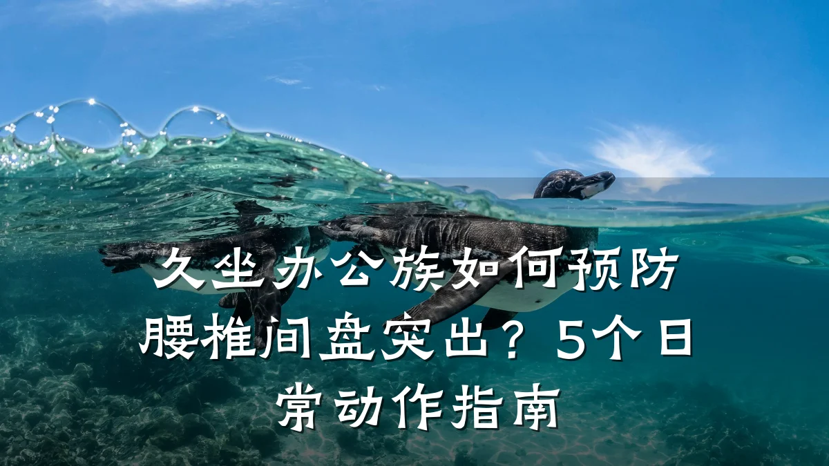 久坐办公族如何预防腰椎间盘突出?5个日常动作指南