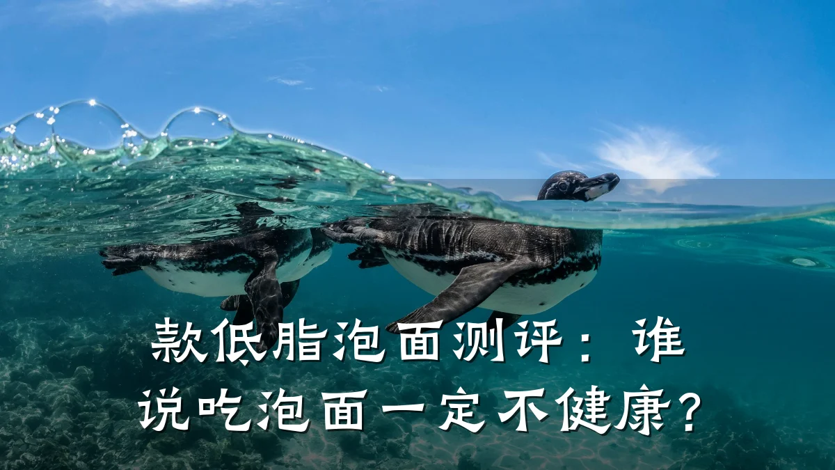 款低脂泡面测评:谁说吃泡面一定不健康?
