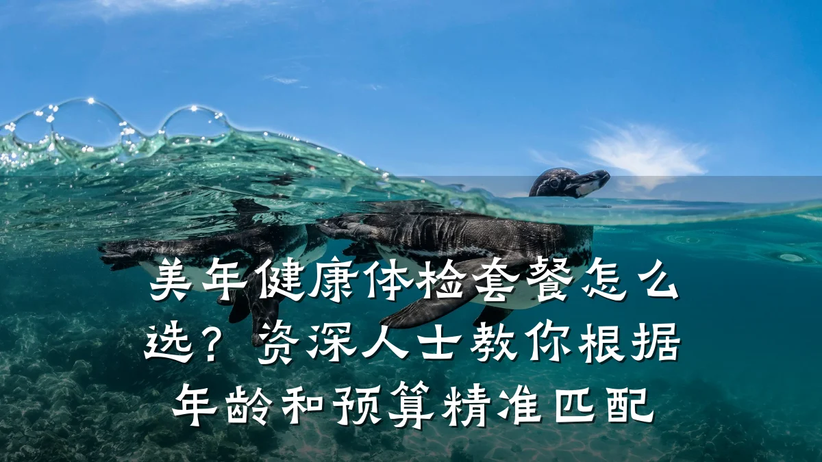 美年健康体检套餐怎么选?资深人士教你根据年龄和预算精准匹配