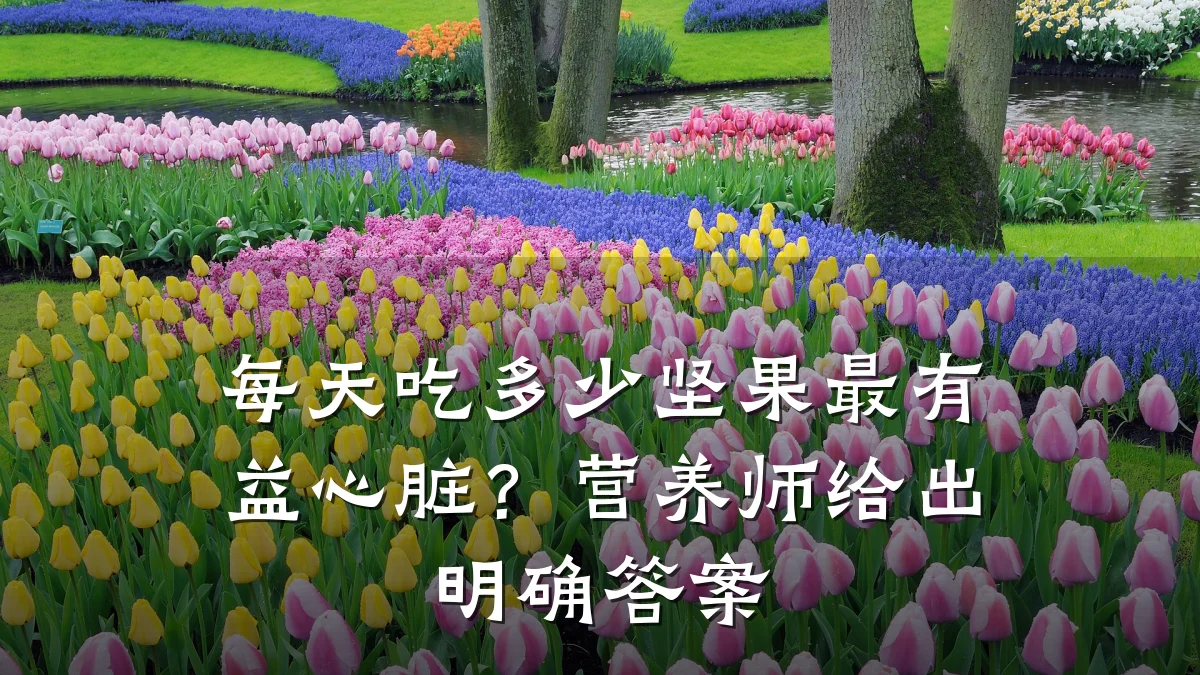 每天吃多少坚果最有益心脏?营养师给出明确答案