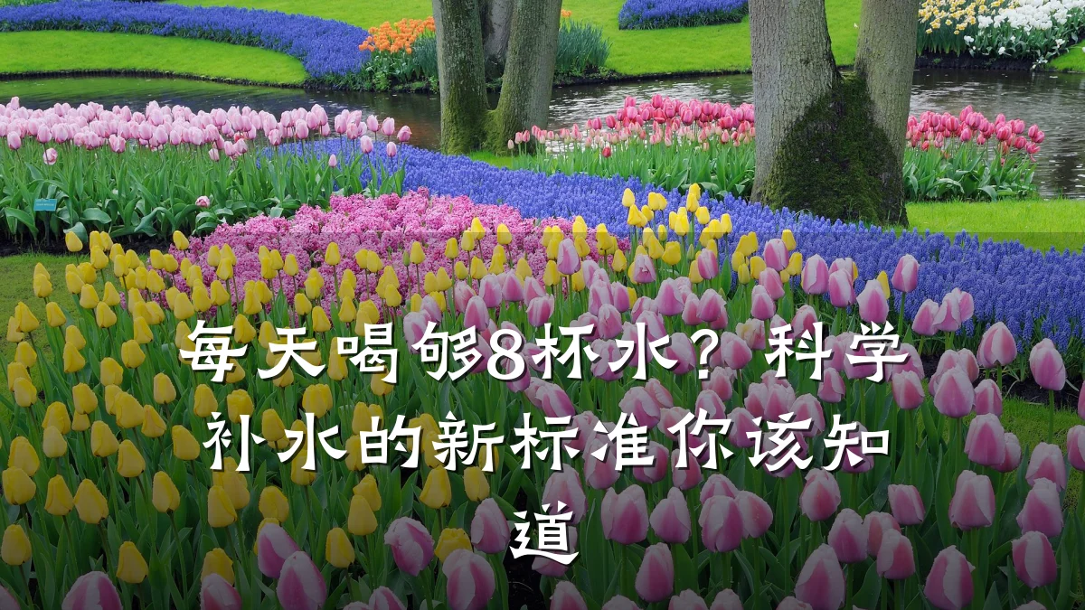 每天喝够8杯水?科学补水的新标准你该知道