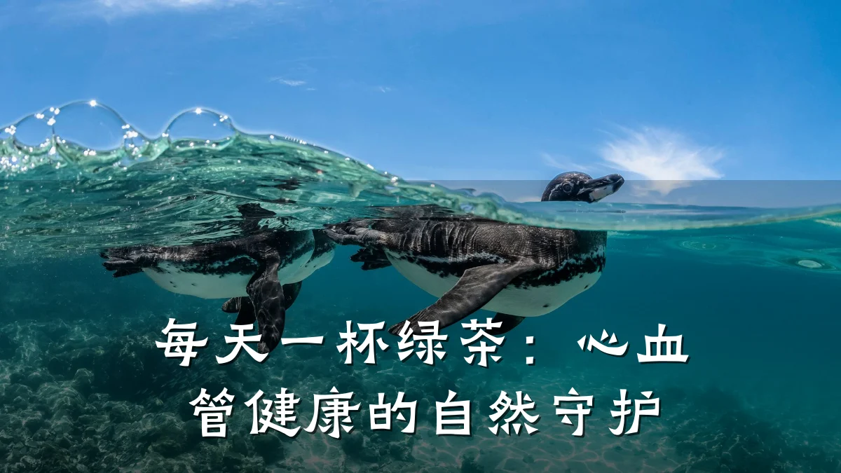 每天一杯绿茶:心血管健康的自然守护