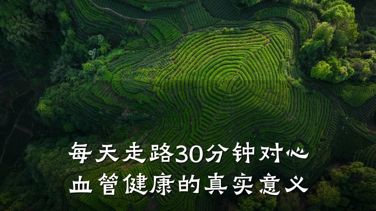 每天走路30分钟对心血管健康的真实意义