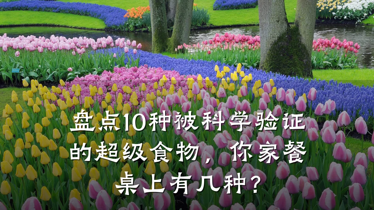 盘点10种被科学验证的超级食物,你家餐桌上有几种?