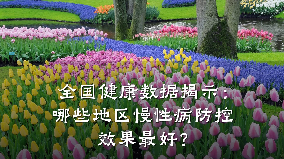 全国健康数据揭示:哪些地区慢性病防控效果最好?